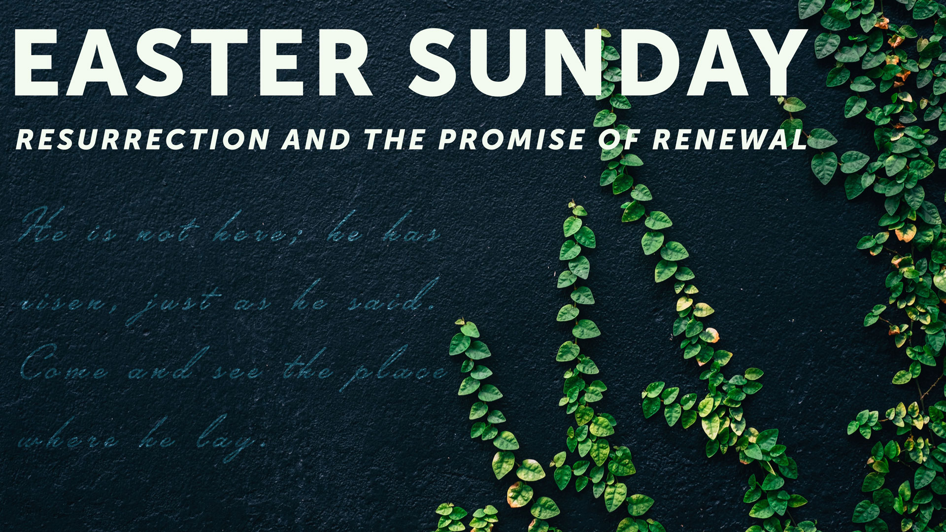 Resurrection and the Promise of Renewal